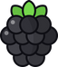 Blackberry