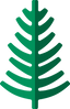 Cypress