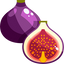 Fig