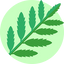 Green Notes