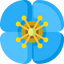 Himalayan Poppy