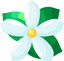 Jasmine
