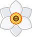 Narcissus