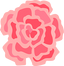 Peony Rose