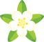 Petitgrain