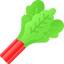 Rhubarb