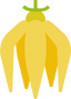 Ylang-Ylang