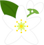Neroli
